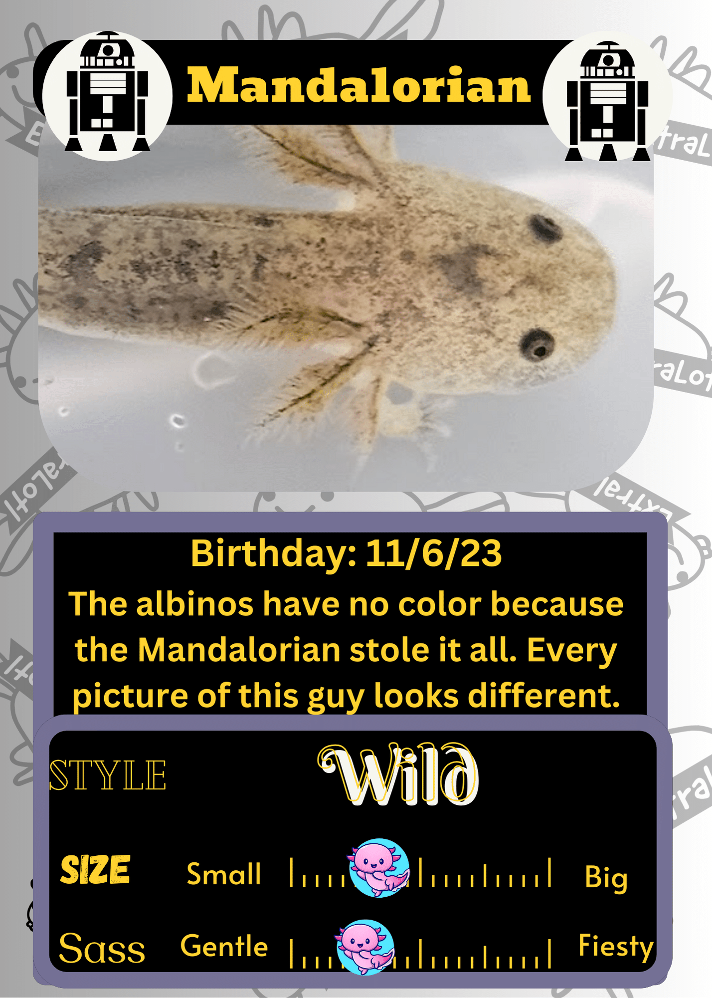 The Mandalorian image 0