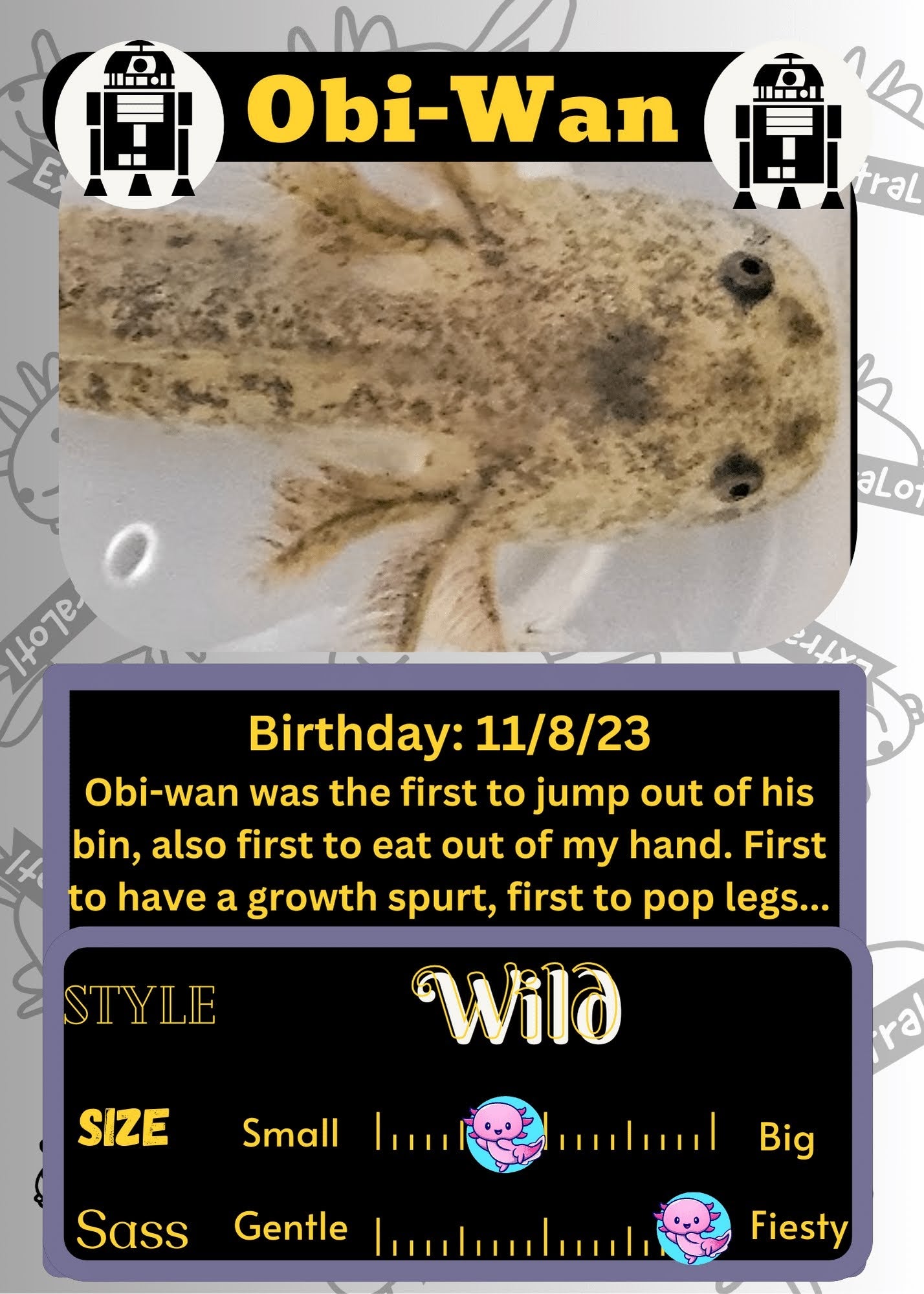 Obi-Wan image 0