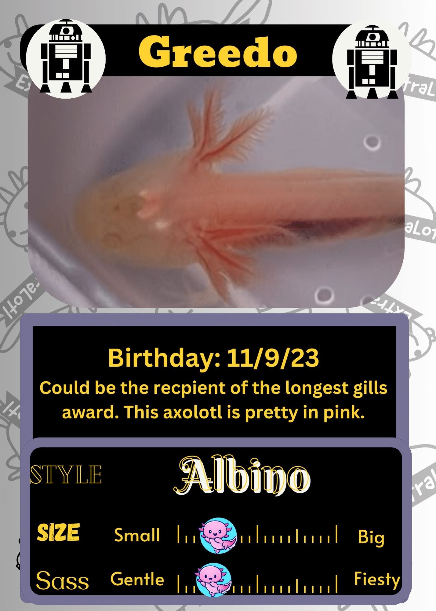 Greedo image 0